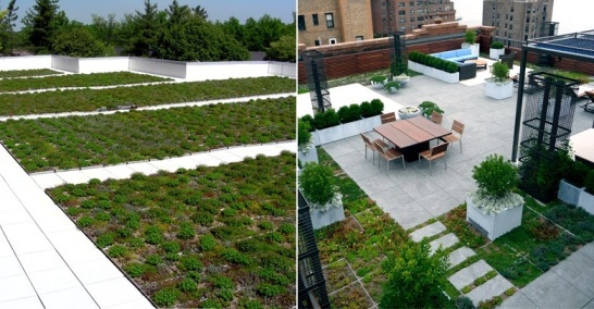 Green Roof Blocks